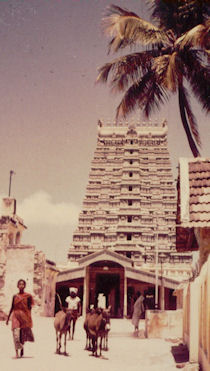 Gopuram (Eingangsturm) des Sri-Ramanathaswami-Tempels in Rameshvaram/Südindien - 1967