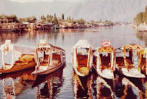 Shikaras zu den Hausbooten auf dem Dal-See