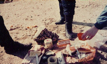 Picknick über Assur