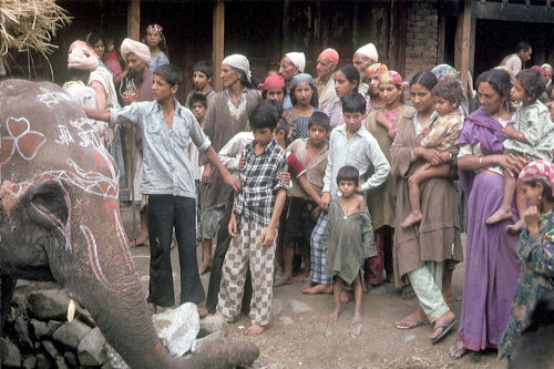 Elefant in einem Gebirgsdorf Elefant in einem Gebirgsdorf
