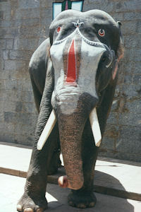 Prä:chtiger Elefant im Shrirangam-Tempel Prä:chtiger Elefant im Shrirangam-Tempel